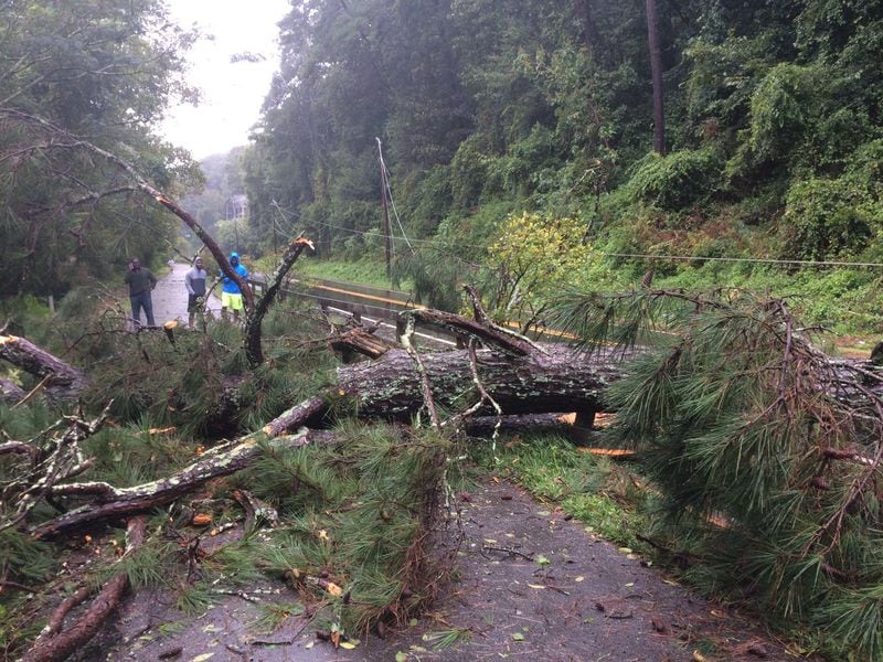 Big tree and power lines down on Azalea Drive in Sandy Springs on Tuesday, Sept. 12