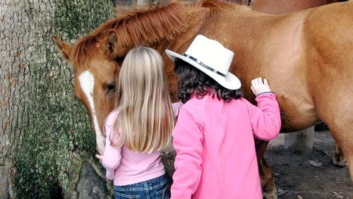Dude ranches, like here at Seventy-Four Ranch in Jasper, Ga., can satisfy horse lovers and wannabe cowboys (and girls) young and old alike.