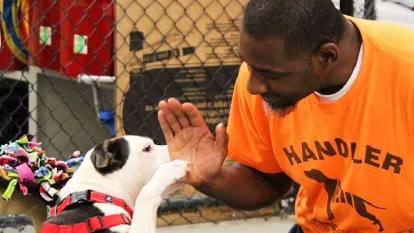 Canine CellMates helps rehabilitate incarcerated men by using shelter dogs.