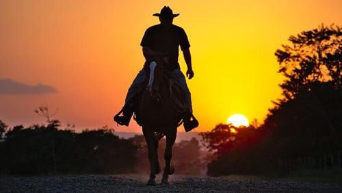 File photo of a cowboy riding a horse. (Photo credit: RonaldPlett / Pixabay.com)