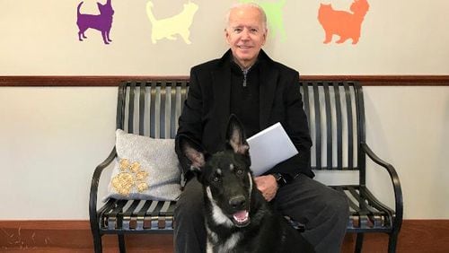 This photo provided by the Delaware Humane Association shows former Vice President Joe Biden, now president-elect, with his rescue dog Major.
