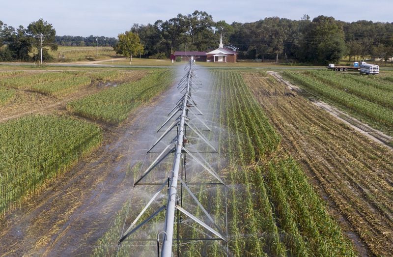 An irrigation sprinkler system waters crops at Worsham Farms near Vada on Oct. 17, 2019. (Hyosub Shin / Hyosub.Shin@ajc.com)