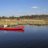 Georgia’s Okefenokee National Wildlife Refuge, the largest intact blackwater swamp in North America and a critical home to thousands of plant and animal species, will be proposed for listing as a World Heritage Site. (Brian Lasenby/Dreamstime/TNS)