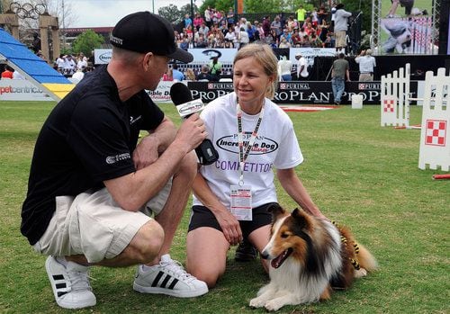 Purina Dog Challenge at Centennial Olympic Park