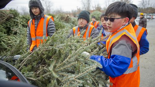 James Suh (right) helps his fellow Boy Scouts from Troop 2000 unload a Christmas tree from a car as they volunteer during Bring One for the Chipper at the Home Depot off of States Bridge Rd. in Johns Creek on Saturday, January 4, 2014.