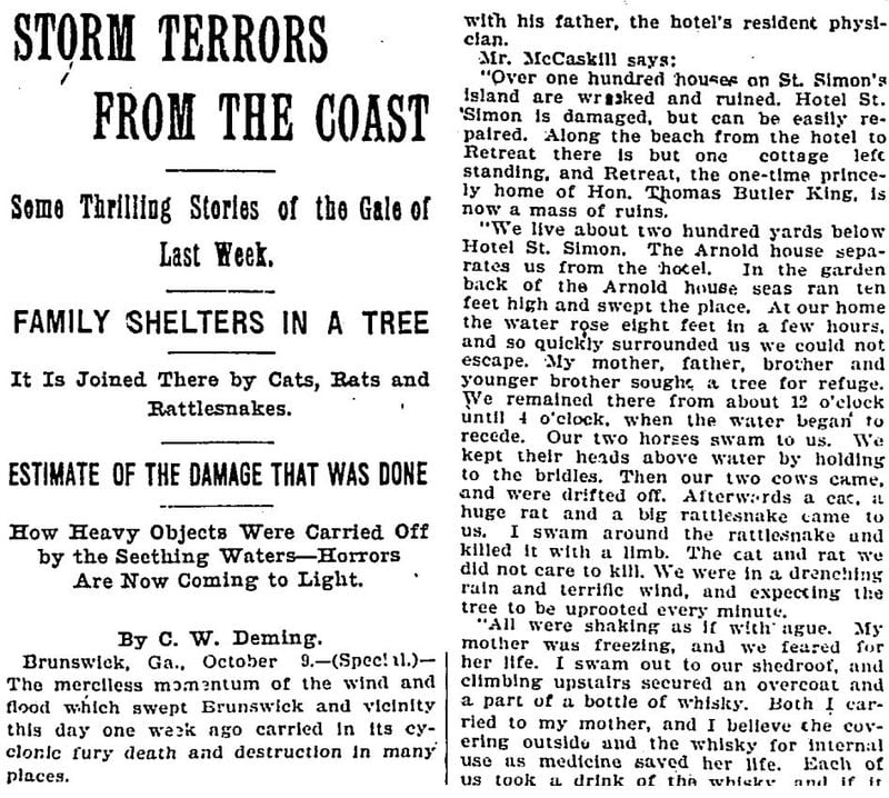 "Cats, rats and rattlesnakes" took refuge in a tree with one family that survived the great "Georgia" hurricane of 1898.