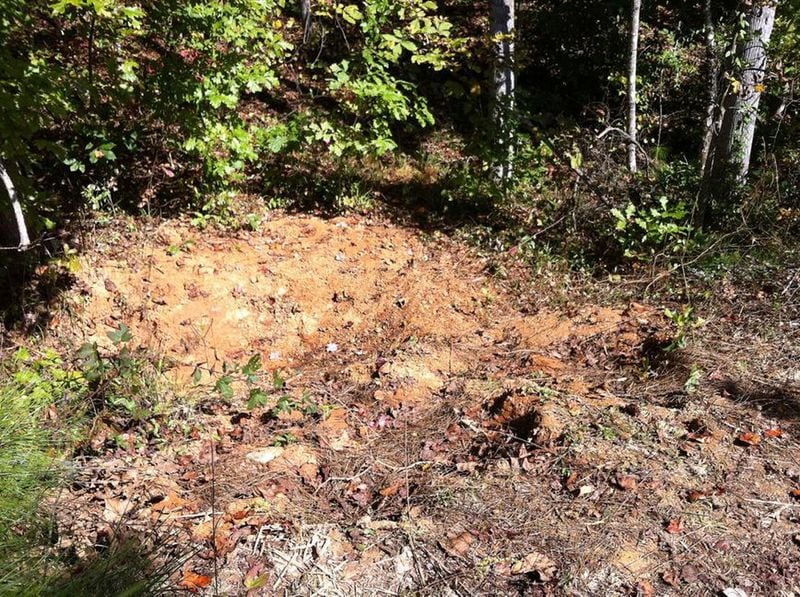 Human remains were located in October 2013 in a shallow grave in northern Paulding County, according to police.
