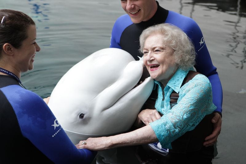 Betty White gets a kiss from Beethoven, the beluga whale, at Georgia Aquarium. She's joined by trainers Dennis Christen and Trish Dove.