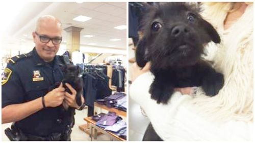 Dunwoody police Lt. Fidel Espinoza happened upon a puppy abandoned at Dillard's and helped save the puppy, which is being called Dilly.