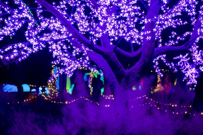 The Atlanta Botanical Garden’s “Garden Lights, Holiday Nights” will be open through January. Credit Joey Ivansco