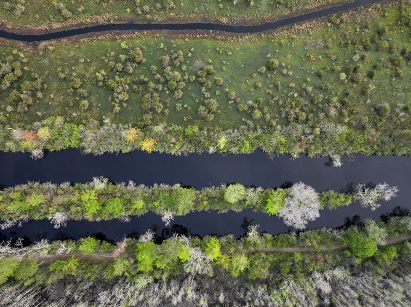 An aerial photograph taken from a drone shows the Day Use Canoe Trail (above) and the Suwannee Canal (below) in the Okefenokee Swamp. Staff photo by Hyosub Shin / Hyosub.Shin@ajc.com