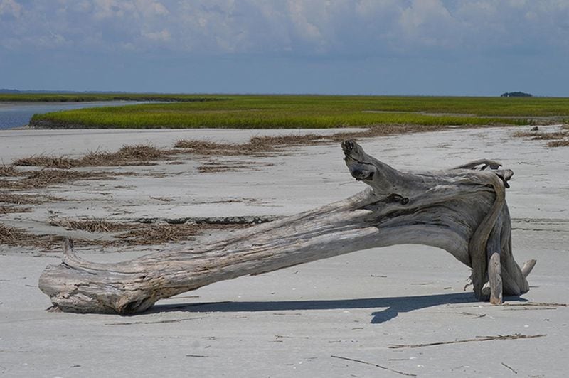 St. Phillips Island is home to unspoiled beaches, marshland and maritime forest on the Low country coast of South Carolina. Formerly owned by Ted Turner, it's now managed by Hunting Island State Park.