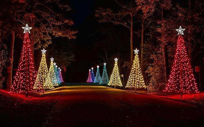 Approximately eight million lights illuminate the forest at Fantasy in Lights.