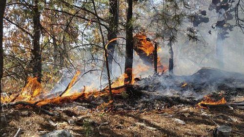 A wildfire on Rocky Face Mountain in Whitfield County could burn into next week. (Credit: Dalton Daily Citizen)