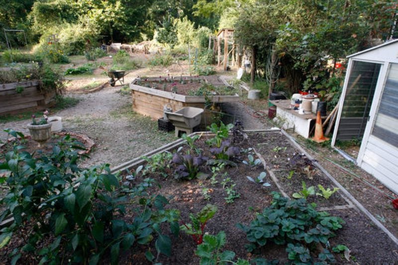 At many of the community gardens, plots can be rented on an annual basis. (Photo: Mikki K. Harris/mharris@ajc.com)