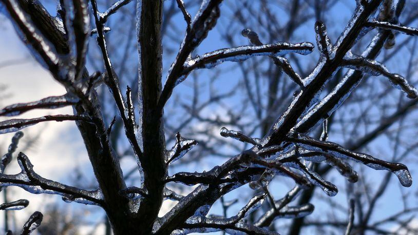Ice coats the branches of a tree in Smyrna, Ga., on Saturday, Jan. 7, 2017.