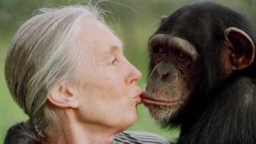 Jane Goodall gives a little kiss to Tess, a female chimpanzee at the Sweetwaters Chimpanzee Sanctuary near Nanyuki, Kenya, north of Nairobi, on Dec. 6, 1997. (AP Photo)
