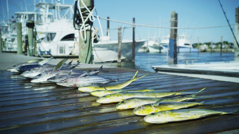 Fishing is a popular activity in the Outer Banks.
Courtesy Outer Banks Visitor Center