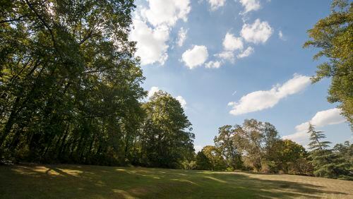 Wylene Tritt’s property spans a quarter mile deep into the woods in Marietta. Tritt is trying to sell her land to Cobb County as a historic park (DAVID BARNES / DAVID.BARNES@AJC.COM)