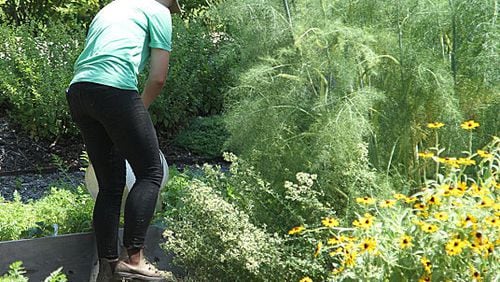 Andrea Richards trains the Natural Born Tillers landscape crew that creates an edible urban garden for EpiCity Real Estate Services in Atlanta. Here, she tends to the plants like fennel and rosemary that both produce food and attract pollinators.