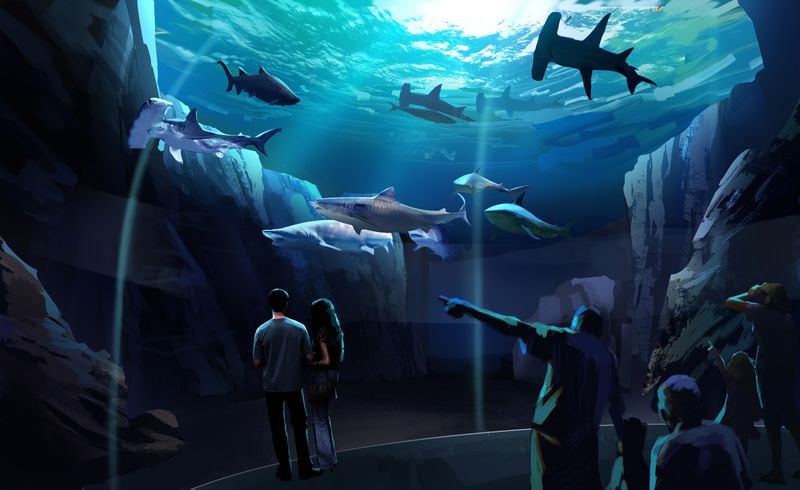 This is a rendering of what the new shark exhibit at the Georgia Aquarium will look like when completed. CONTRIBUTED