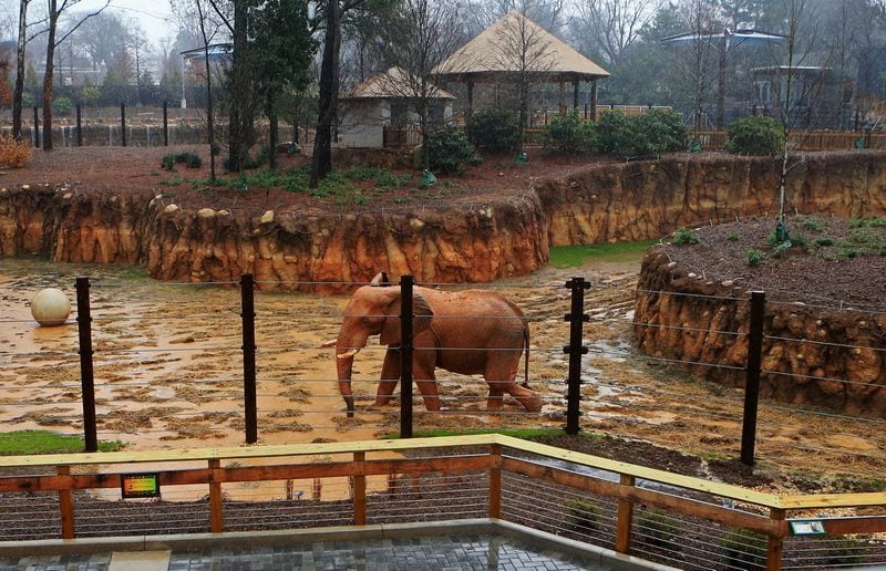 The patio of Savanna Hall overlooks the elephant enclosure at Zoo Atlanta. Christina Matacotta/ crmatacotta@gmail.com