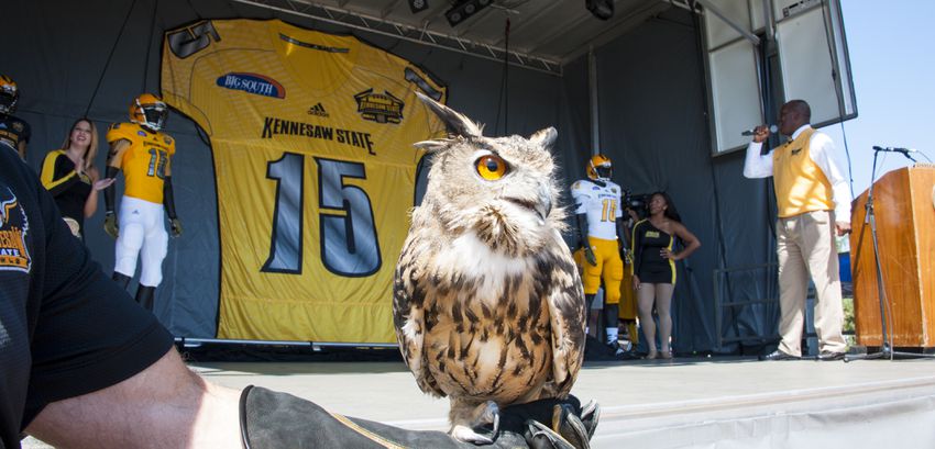 Owls kick off in 2015