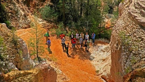 Park rangers will help visitors explore the hidden gems of Providence Canyon Outdoor Recreation Area (Lumpkin). This canyon was carved by erosion due to poor farming practices during the 1800s. Learn about the language of soft Coastal Plain soils called Nankin, Cowarts, Mobila and Orangeburst. Photo courtesy Georgia State Parks