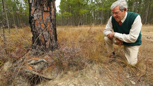 John Carlton looks over a gopher tortoise hole a few feet away from a 1954 easement for an 8 inch natural gas line on his property at Morrison Pines Plantation in Moultrie. The planned Sabel Trail pipeline would run 50 feet over from the existing line. Carlton is undecided on the proposal.