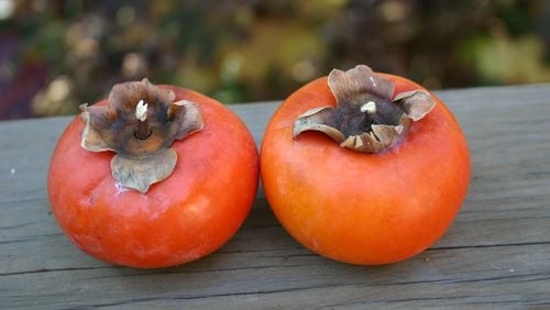 Persimmons, native of Asian, grow well in the Southeast. CONTRIBUTED BY WALTER REEVES