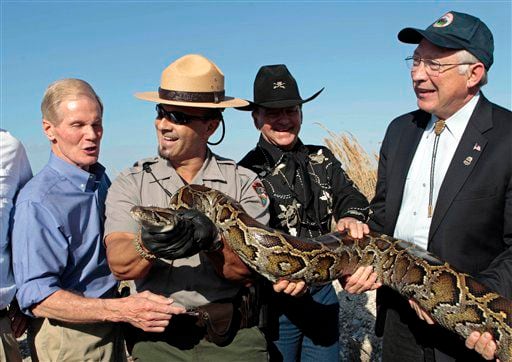 Secretary of Interior Ken Salazar, right, and Sen. Bill Nelson, far left, hold a 13-foot python.