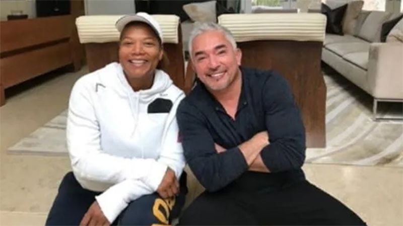 A pit bull once owned by canine trainer Cesar Millan mauled one of Queen Latifah’s pets to death, and the reality TV star tried to cover up the attack by instructing his staff to tell the actress that her dog was hit by a car, according to a recently filed lawsuit.