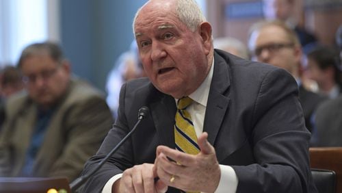 U.S. Agriculture Secretary Sonny Perdue has proposed replacing a share of food stamp payments with boxes of federally picked foods, such as shelf-stable milk, cereal, peanut butter, canned meat, fruits and vegetables. (AP Photo/Susan Walsh)