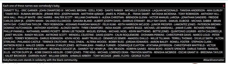 The full list of names shown on the site that pays tribute to those who died or were killed in controversial incidents.