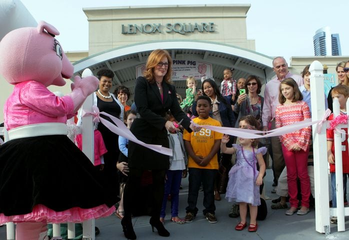 The Pink Pig opens 2012