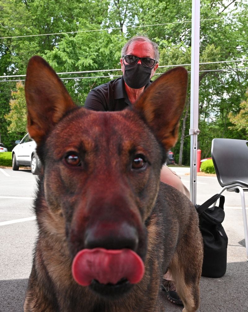 Jerry Bishop (background), director of training with the 360 K9 Group, and his bio detection K-9 partner stay out of the sun during a presentation Tuesday. (Hyosub Shin / Hyosub.Shin@ajc.com)