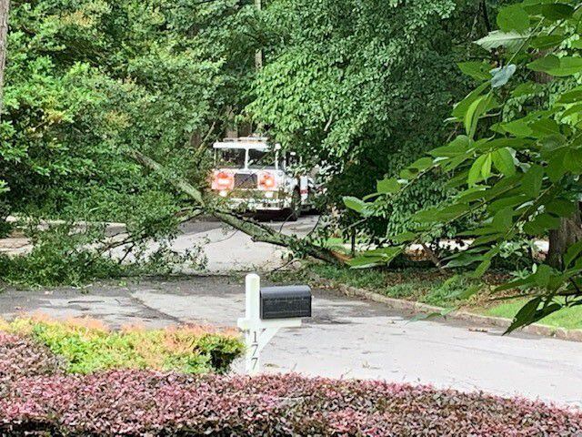 Trees down after storms in metro Atlanta