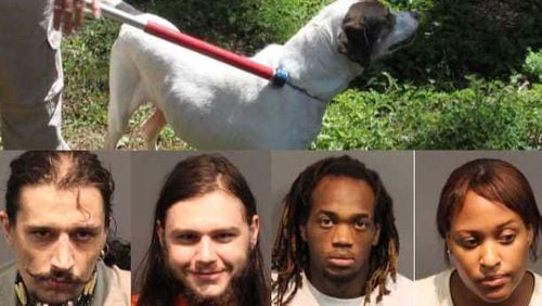 These four people were arrested after police raided an alleged drug house in Alpharetta. The dog show at the top is one of the two taken by county animal services staff.