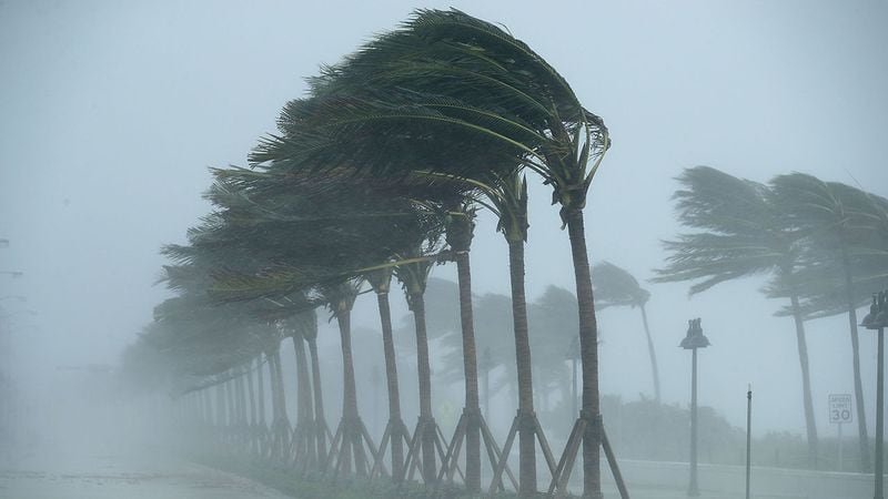Trees bend in the tropical storm wind along North Fort Lauderdale Beach Boulevard in 2017 (Photo by Chip Somodevilla/Getty Images)