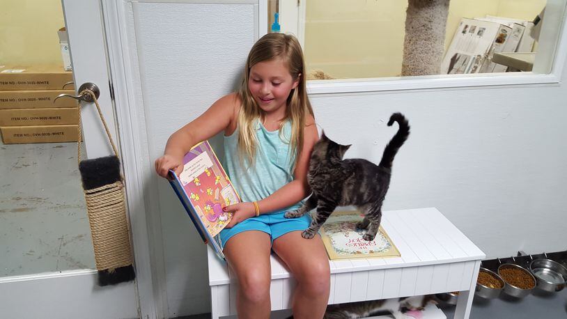 Kids can share a story with a cats at a Gwinnett County library branch.
