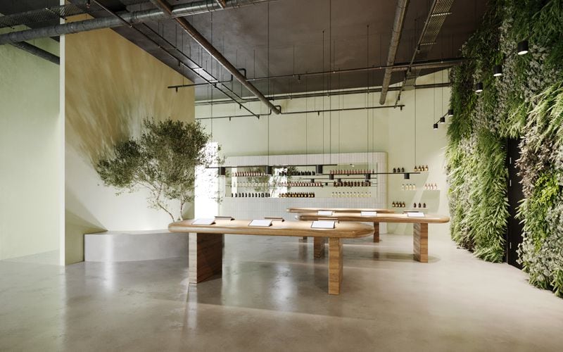 An artists rendering shows the kind of medical marijuana dispensary planned by Botanical Sciences, one of two licensed companies in Georgia. Seven dispensaries opened earlier this year in Augusta, Macon, Marietta, Newnan and Savannah. (Contributed photo)