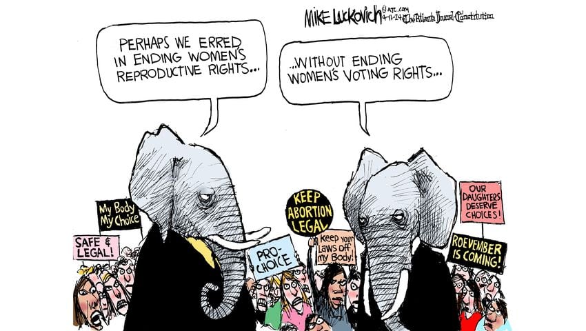 Two GOP Elephants standing in front of a crowd of women demonstrating against abortion restrictions.  One says, 