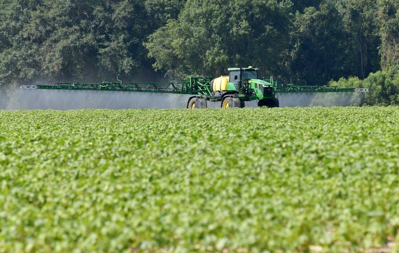 Taylor Buckner, operates a John Deere Sprayer to spray weed control on one of cotton fields at Davis Family Farms, Wednesday, June 28, 2023, in Doerun, GA. Cotton plants on this field were mature, so didn’t get much damaged by recent hailstorms and high winds. Bart Davis has around 7,500 acres of land across Southwest Georgia in Colquitt, Mitchell, Worth, and Dougherty counties — and every acre of cotton was hit by the storms. Hail the size of golf and tennis balls, some even larger, slammed his crops, Davis said. Damage ranged from moderate to severe, he said. (Hyosub Shin / Hyosub.Shin@ajc.com)