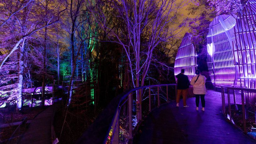 Visitors walk down an illuminated path at the Wildwoods: AGLOW Experience at the Fernbank Museum in Atlanta, GA, on Friday, December 2, 2022.(Photo/Jenn Finch)