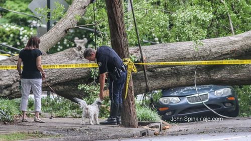 A tree that fell in Midtown did some damage Thursday morning.