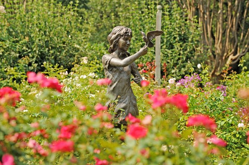 The Carter Center's Rose Garden is a meticulous space of plants with more than 40 colorful varieties.