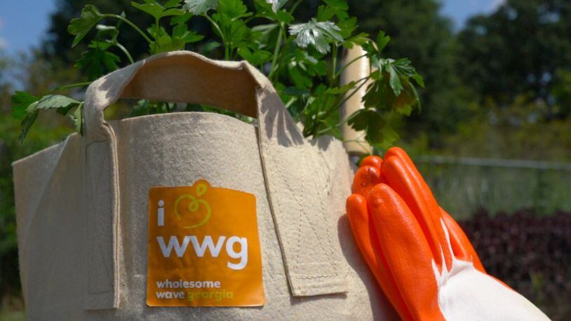 Georgians on SNAP benefits can receive free gardening kits to grow their own food at home and 50% off seedlings at four Georgia Plant 2 Plate Sales. (Courtesy of Wholesome Wave Georgia)