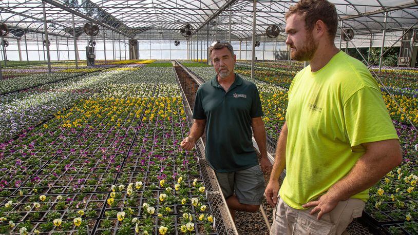 Quail Hollow Nurseries owner Andy Peck and his son, Nathan, the nursery’s vice president, talk Monday about the possibilities from growing hemp plants at their Dacula nursery. STEVE SCHAEFER / SPECIAL TO THE AJC