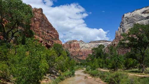 An Arizona man had to be rescued when he was trapped in quicksand at Zion National Park in Utah.