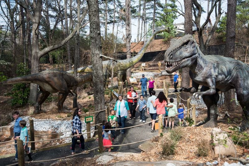 Dinosaur Explore in Stone Mountain Park’s Crossroads area lets visitors interact with 14 types of dinosaurs including 20 full-size species with special effects that make them move and roar. CONTRIBUTED BY STONE MOUNTAIN PARK